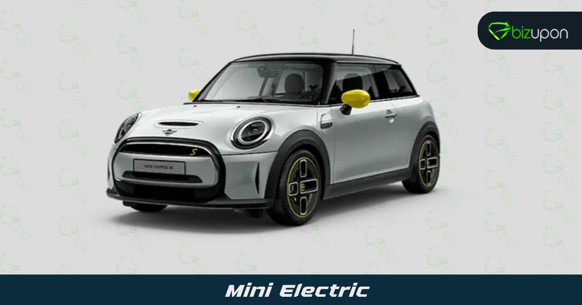 Mini Electric